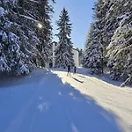 Belmont Seegarten By Interhome Lenzerheide
