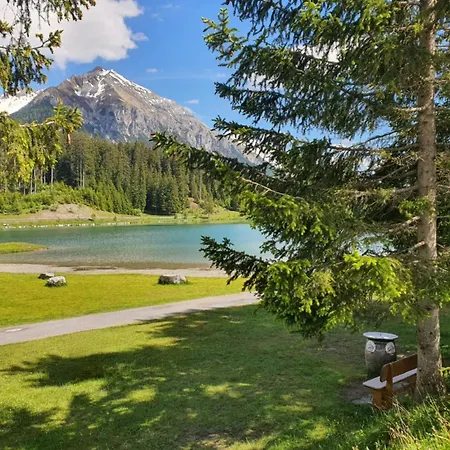 Appartement Belmont Seegarten By Interhome Lenzerheide