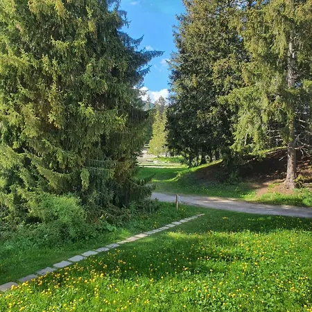 Belmont Seegarten By Interhome * Lenzerheide