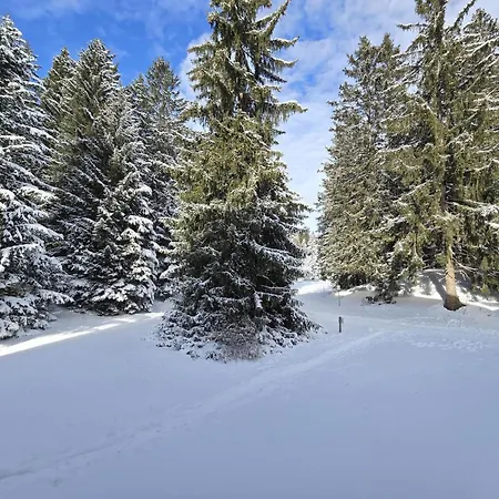 Belmont Seegarten By Interhome Appartement *