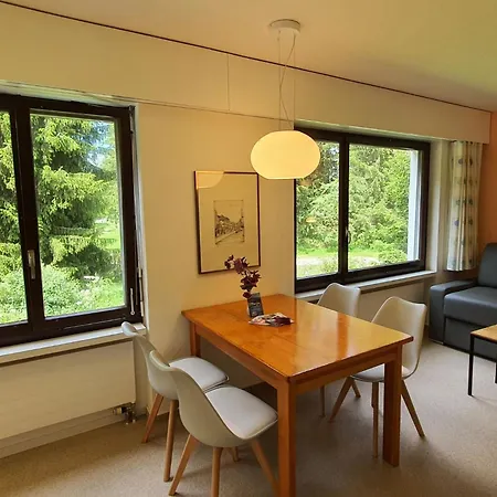 Appartement Belmont Seegarten By Interhome *