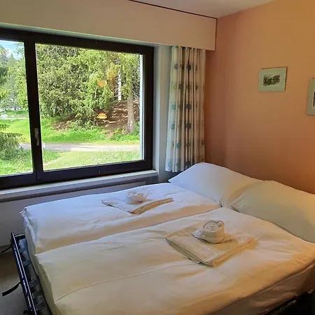 Belmont Seegarten By Interhome Lenzerheide