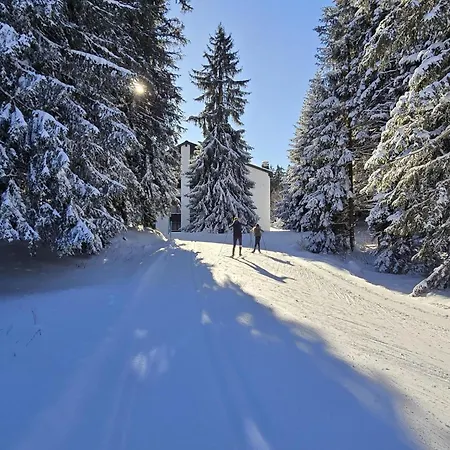 Belmont Seegarten By Interhome Lenzerheide