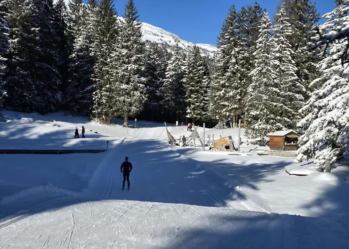 Belmont Seegarten By Interhome *