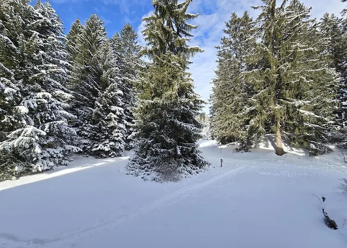 Belmont Seegarten By Interhome Apartamento *