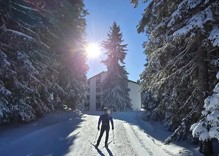 Apartamento Belmont Seegarten By Interhome Lenzerheide