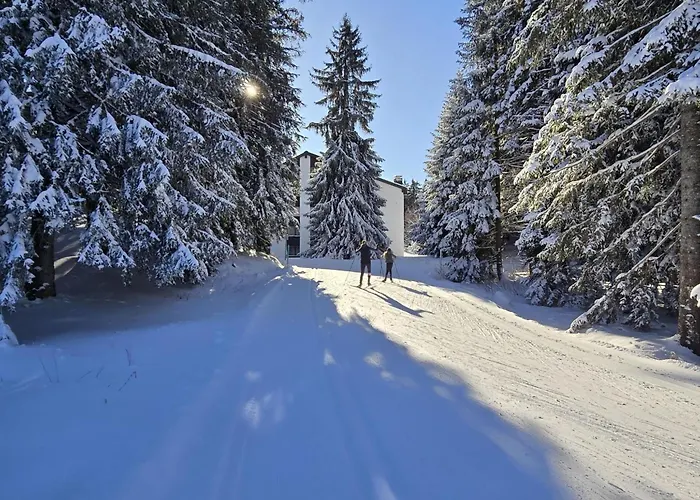 Belmont Seegarten By Interhome Lenzerheide